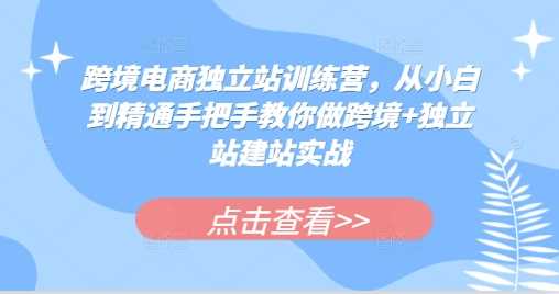 跨境电商独立站训练营，从小白到精通手把手教你做跨境+独立站建站实战-甄选网创