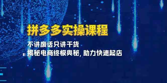 拼多多实操课程：不讲废话只讲干货, 揭秘电商终极奥秘,助力快速起店-甄选网创