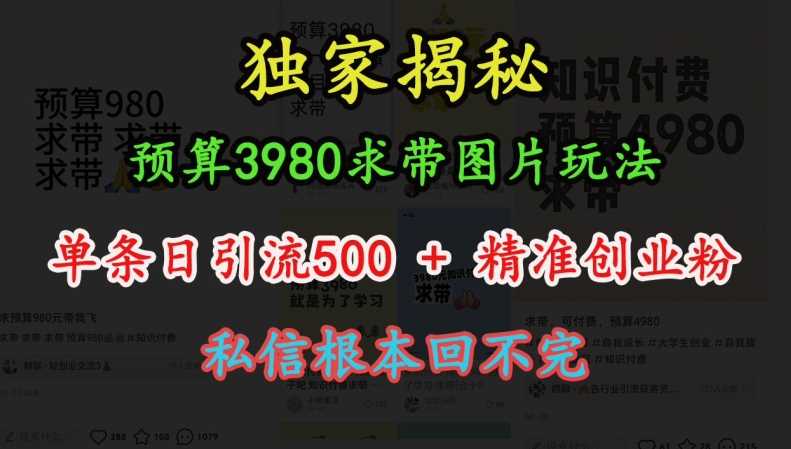 预算3980求带 图片玩法，单条日引流500+精准创业粉，私信根本回不完-甄选网创