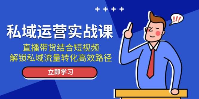 （13587期）私域运营实战课：直播带货结合短视频，解锁私域流量转化高效路径-甄选网创