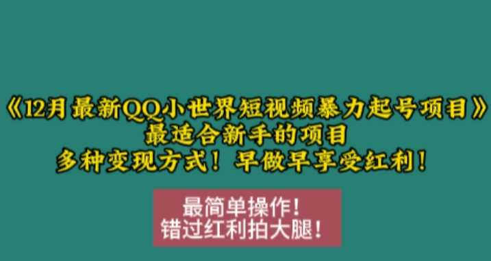 12月最新QQ小世界短视频暴力起号项目，最适合新手的项目，多种变现方式-甄选网创