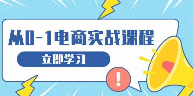 （13594期）从零做电商实战课程，教你如何获取访客、选品布局，搭建基础运营团队-甄选网创