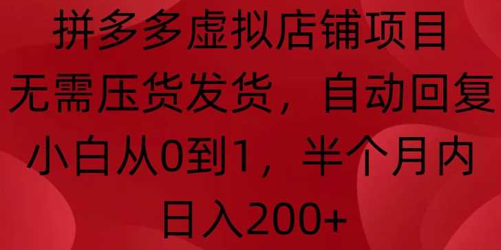 拼多多虚拟店铺项目，无需压货发货，自动回复，小白从0到1，半个月内日入200+【揭秘】-甄选网创