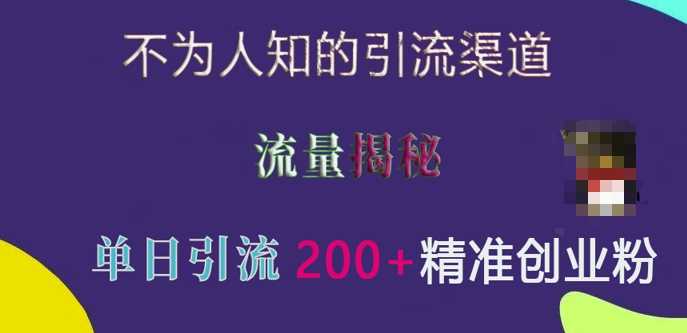 不为人知的引流渠道，流量揭秘，实测单日引流200+精准创业粉【揭秘】-甄选网创