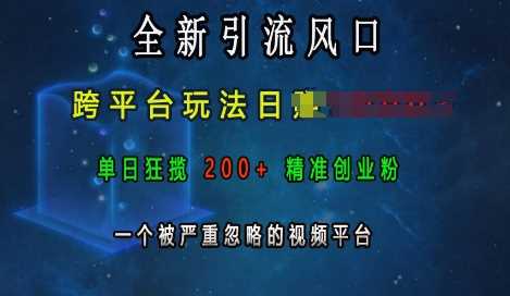 全新引流风口，跨平台玩法日入上k，单日狂揽200+精准创业粉，一个被严重忽略的视频平台-甄选网创