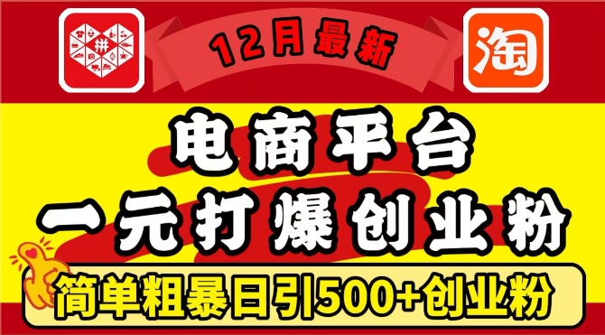 12月最新：电商平台1元打爆创业粉，简单粗暴日引500+精准创业粉，轻松月入过W【揭秘】-甄选网创