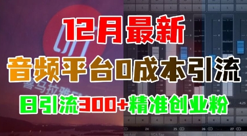 12月最新：音频平台0成本引流，日引流300+精准创业粉-甄选网创