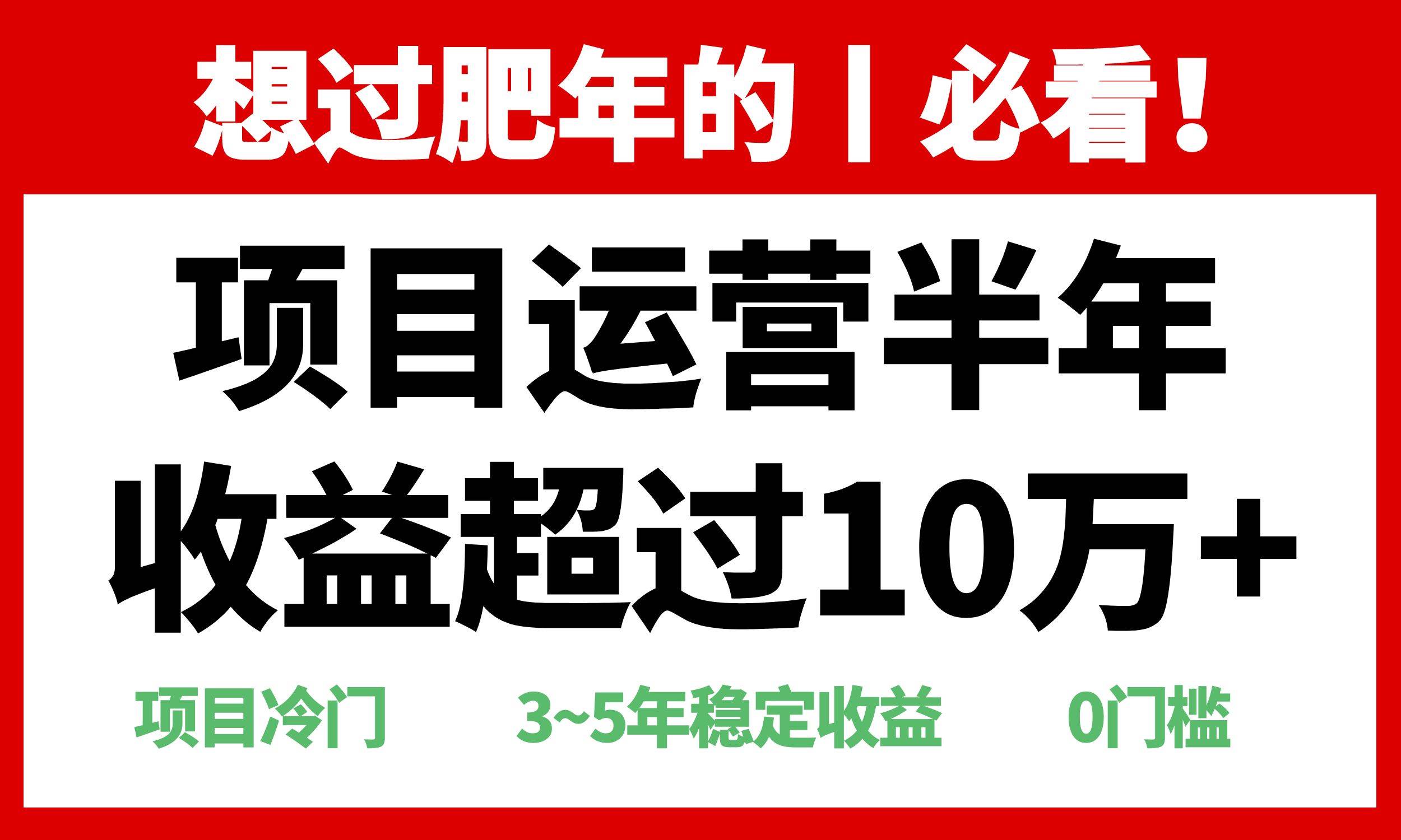 （13663期）年前过肥年的必看的超冷门项目，半年收益超过10万+，-甄选网创