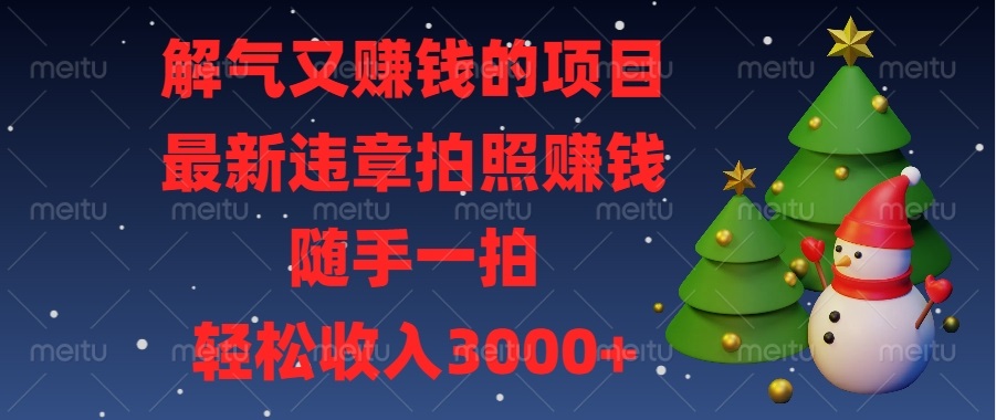 （13686期）解气又赚钱的项目，最新违章拍照赚钱，随手一拍，轻松收入3000+-甄选网创