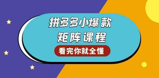 拼多多爆款矩阵课程：教你测出店铺爆款，优化销量，提升GMV，打造爆款群-甄选网创