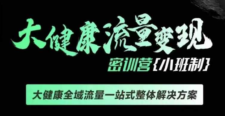 千万级大健康变现课线下课，大健康全域流量一站式整体解决方案-甄选网创