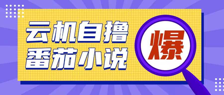 首发云手机自撸小说玩法，10块钱成本可撸200+收益操作简单【揭秘】-甄选网创