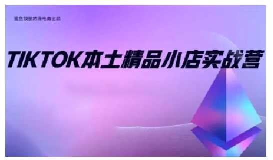 TikTok本土精品小店出海实战营，从入门到高阶，不止0-1!-甄选网创