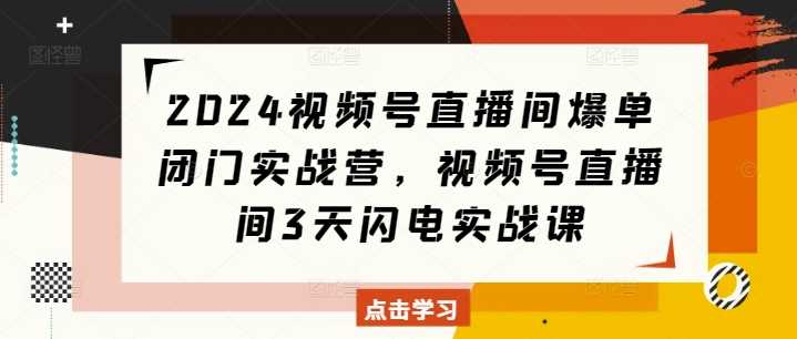 2024视频号直播间爆单闭门实战营，视频号直播间3天闪电实战课-甄选网创