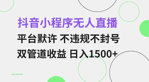 抖音小程序无人直播 平台默许 不违规不封号 双管道收益 日入多张 小白也能轻松操作【仅揭秘】-甄选网创