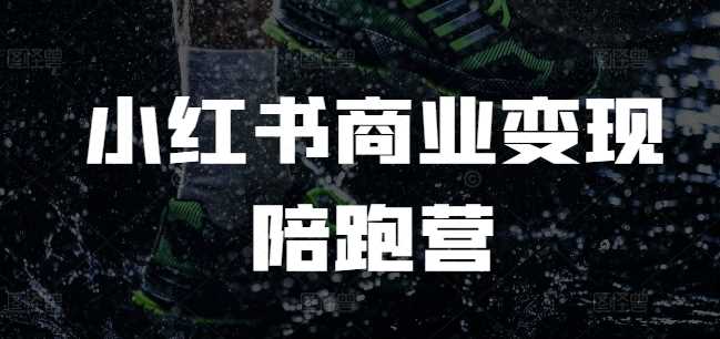 小红书商业变现陪跑营，小红书电商教程-甄选网创