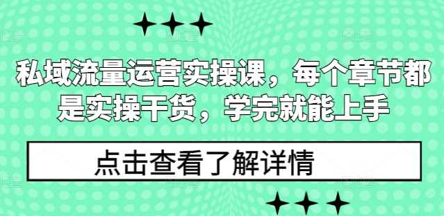 私域流量运营实操课，每个章节都是实操干货，学完就能上手-甄选网创