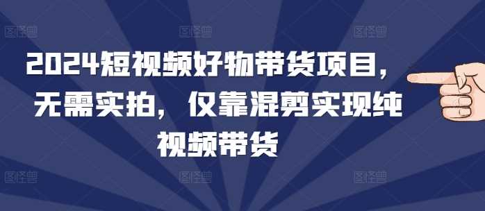 2024短视频好物带货项目，无需实拍，仅靠混剪实现纯视频带货-甄选网创