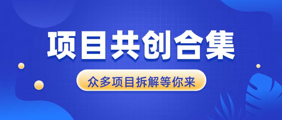 （13778期）项目共创合集，从0-1全过程拆解，让你迅速找到适合自已的项目-甄选网创