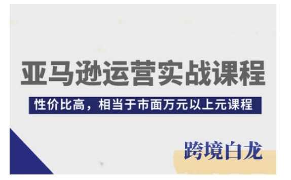 亚马逊运营实战课程，亚马逊从入门到精通，性价比高，相当于市面万元以上元课程-甄选网创