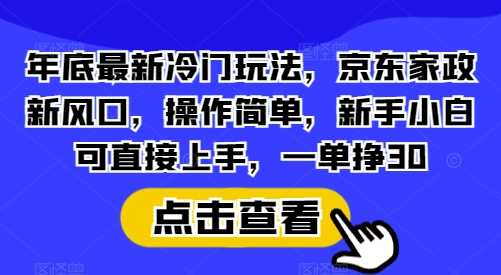 年底最新冷门玩法，京东家政新风口，操作简单，新手小白可直接上手，一单挣30【揭秘】-甄选网创