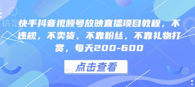 快手抖音视频号放映直播项目教程，不违规，不卖货，不靠粉丝，不靠礼物打赏，每天200-600-甄选网创