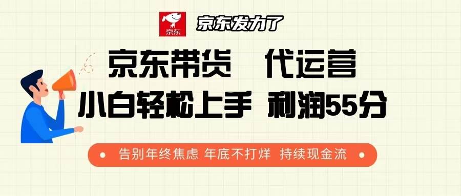 （13833期）京东带货 代运营 利润55分 告别年终焦虑 年底不打烊 持续现金流-甄选网创