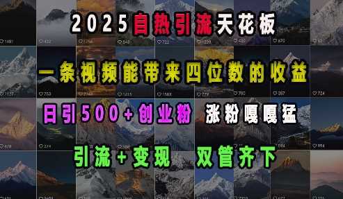 2025自热引流天花板，一条视频能带来四位数的收益，引流+变现双管齐下，日引500+创业粉，涨粉嘎嘎猛-甄选网创