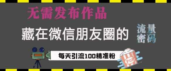 藏在微信朋友圈的流量密码，无需发布作品，单日引流100+精准创业粉【揭秘】-甄选网创