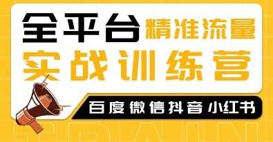 全平台精准流量实战训练营，百度微信抖音小红书SEO引流教程-甄选网创