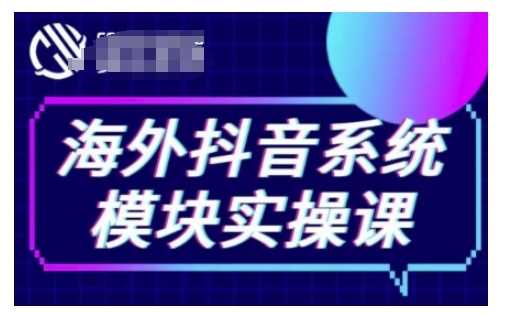 海外抖音Tiktok系统模块实操课，TK短视频带货，TK直播带货，TK小店端实操等-甄选网创