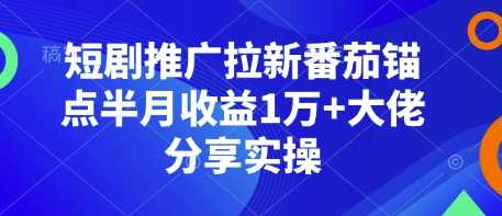 短剧推广拉新番茄锚点半月收益1万+大佬分享实操-甄选网创