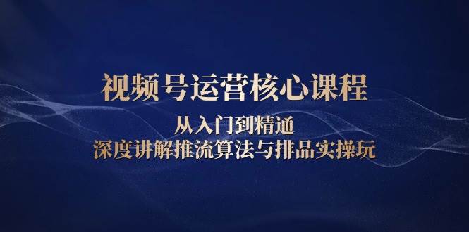 （13863期）视频号运营核心课程，从入门到精通，深度讲解推流算法与排品实操玩-甄选网创