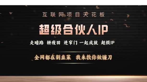 互联网项目天花板，超级合伙人IP，全网都在割韭菜，我来教你做镰刀【仅揭秘】-甄选网创