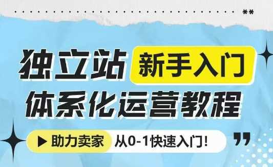 独立站新手入门体系化运营教程，助力独立站卖家从0-1快速入门!-甄选网创