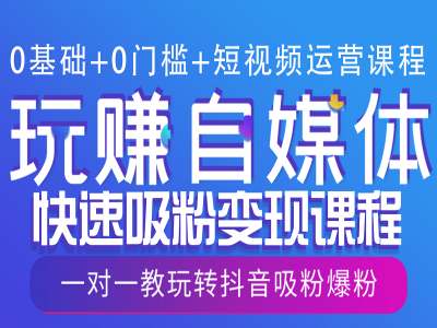 0基础+0门槛+短视频运营课程，玩赚自媒体快速吸粉变现课程，一对一教玩转抖音吸粉爆粉-甄选网创