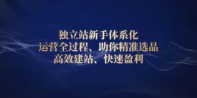 （13914期）独立站新手体系化 运营全过程，助你精准选品、高效建站、快速盈利-甄选网创