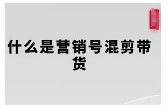 营销号混剪带货，从内容创作到流量变现的全流程，教你用营销号形式做混剪带货-甄选网创