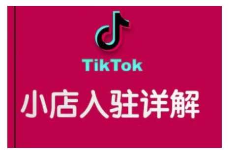 TikTok跨境小店运营全攻略，帮助你独立运营TK跨境小店的能力，实现销量增长-甄选网创