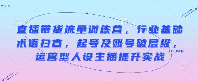 直播带货流量训练营，行业基础术语扫盲，起号及账号破层级，运营型人设主播提升实战-甄选网创