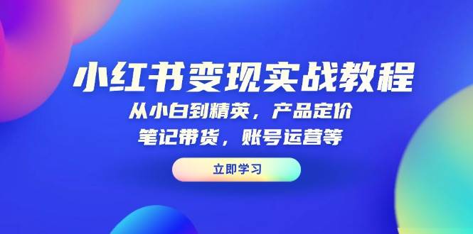 （13923期）小红书变现实战教程：从小白到精英，产品定价，笔记带货，账号运营等-甄选网创