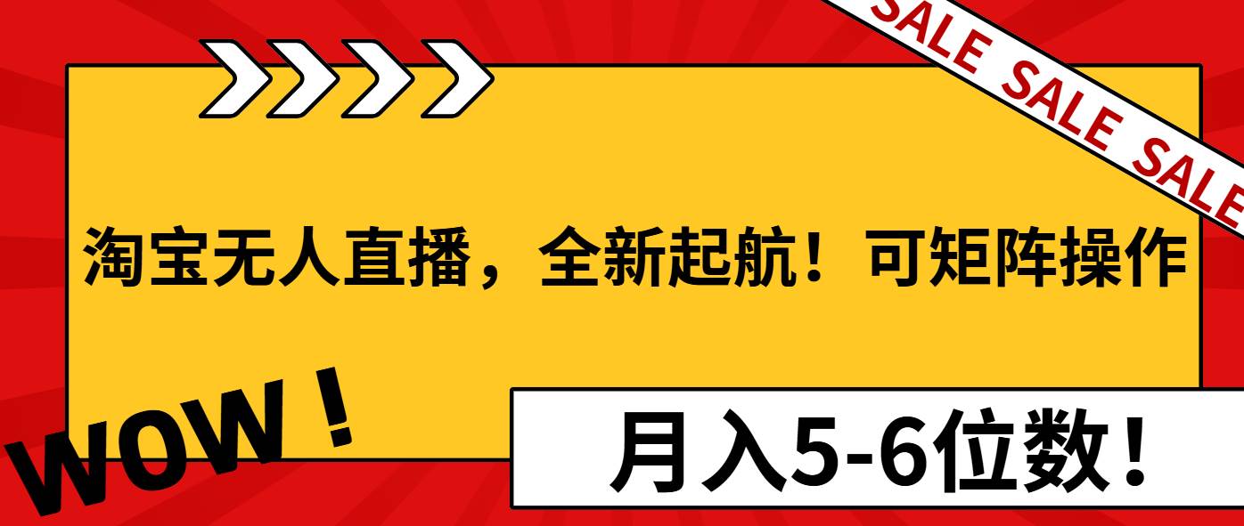 （13946期）淘宝无人直播，全新起航！可矩阵操作，月入5-6位数！-甄选网创