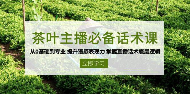 （13961期）茶叶 主播必备话术课 从0基础到专业 提升语感表现力 掌握直播话术底层逻辑-甄选网创