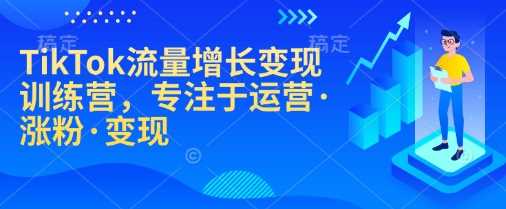 TikTok流量增长变现训练营，专注于运营·涨粉·变现-甄选网创