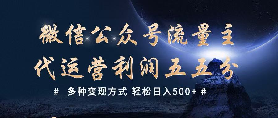 公众号流量主代运营  多种变现方式 轻松日入500+-甄选网创