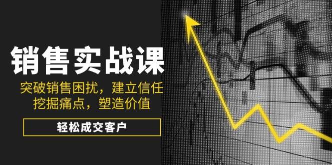 销售实战课，突破销售困扰，建立信任，挖掘痛点，塑造价值，轻松成交客户-甄选网创