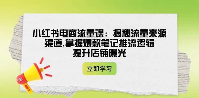 小红书电商流量课：揭秘流量来源渠道,掌握爆款笔记推流逻辑,提升店铺曝光-甄选网创
