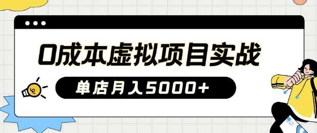 0成本虚拟项目实战手把手教你落地，单店月入5k-甄选网创
