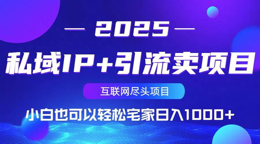 （14151期）私域IP+引流卖项目，小白也可以做到轻松宅家日入1000+-甄选网创