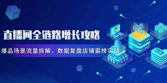 直播间全链路增长攻略，爆品场景流量拆解，数据复盘店铺霸榜实战-甄选网创